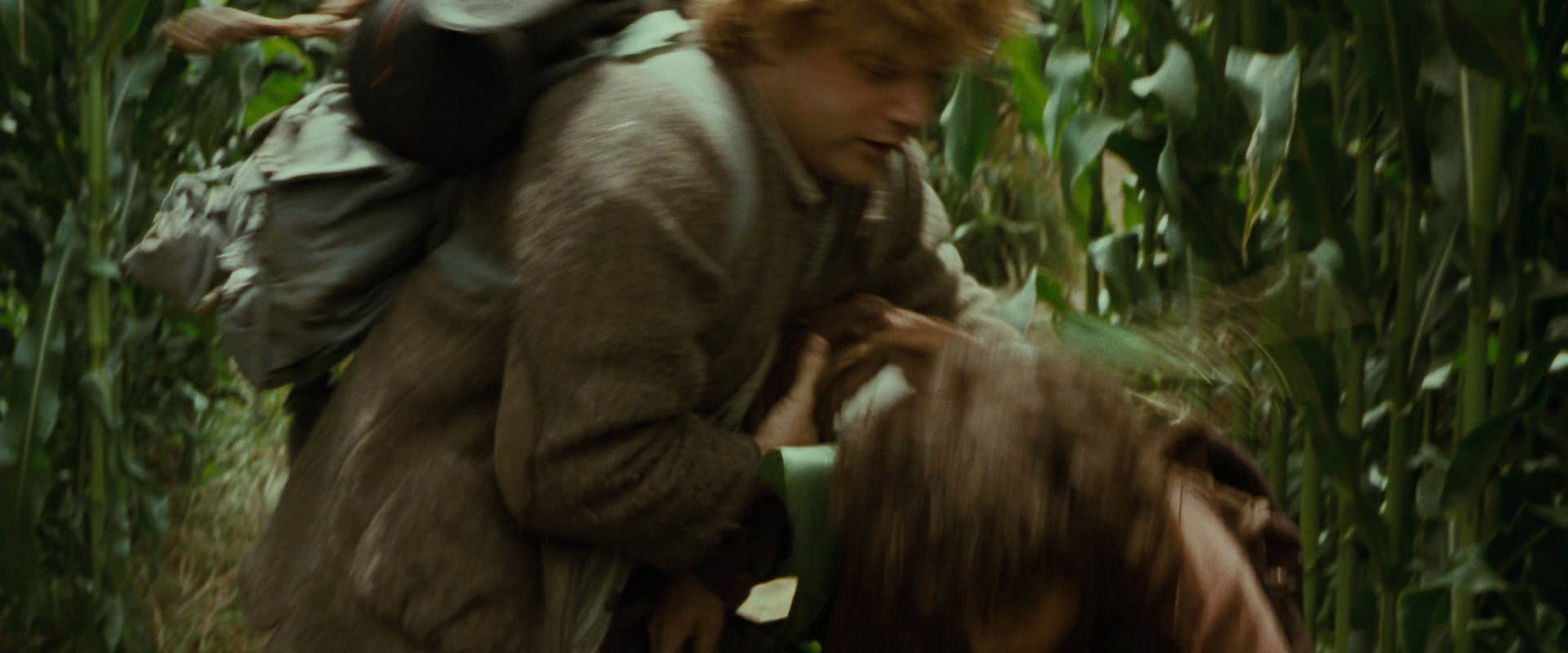 The Lord of the Rings: The Fellowship of the Ring (2001) movie still 5992