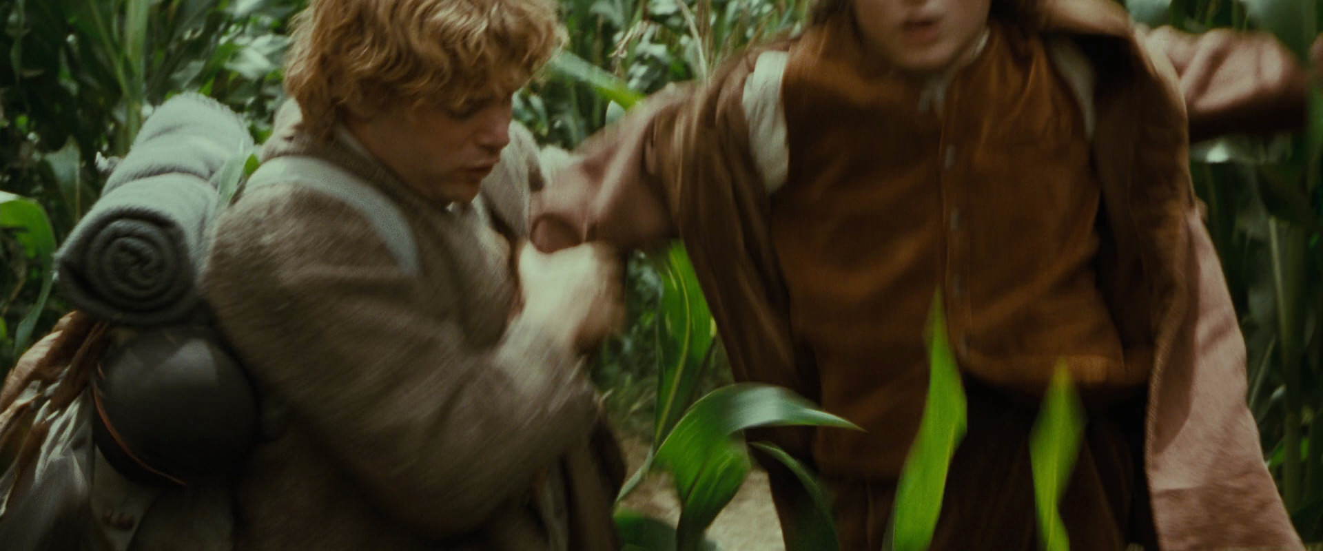 The Lord of the Rings: The Fellowship of the Ring (2001) HD screenshot 5993