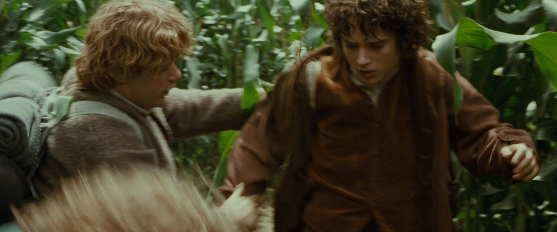 The Lord of the Rings: The Fellowship of the Ring (2001) screencap 5994