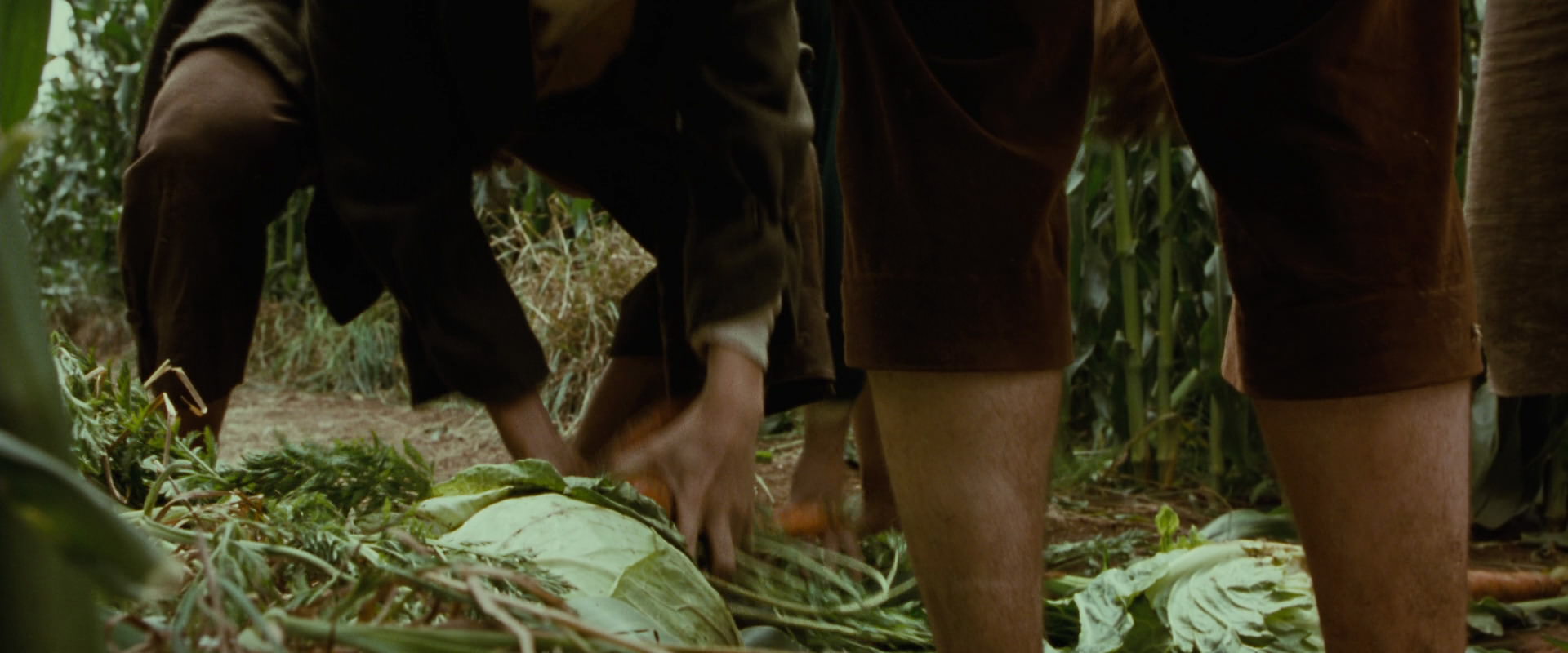 The Lord of the Rings: The Fellowship of the Ring (2001) movie still 5995