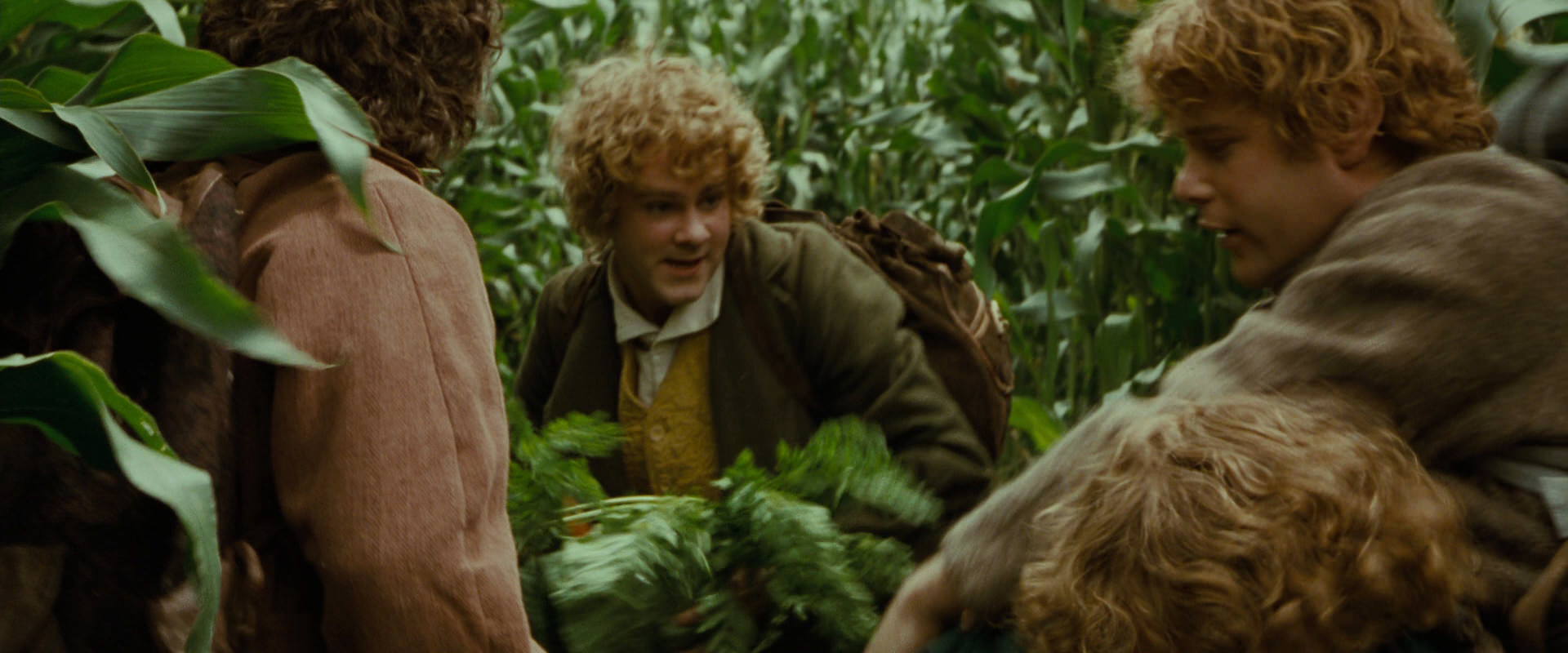 The Lord of the Rings: The Fellowship of the Ring (2001) HD screenshot 5996