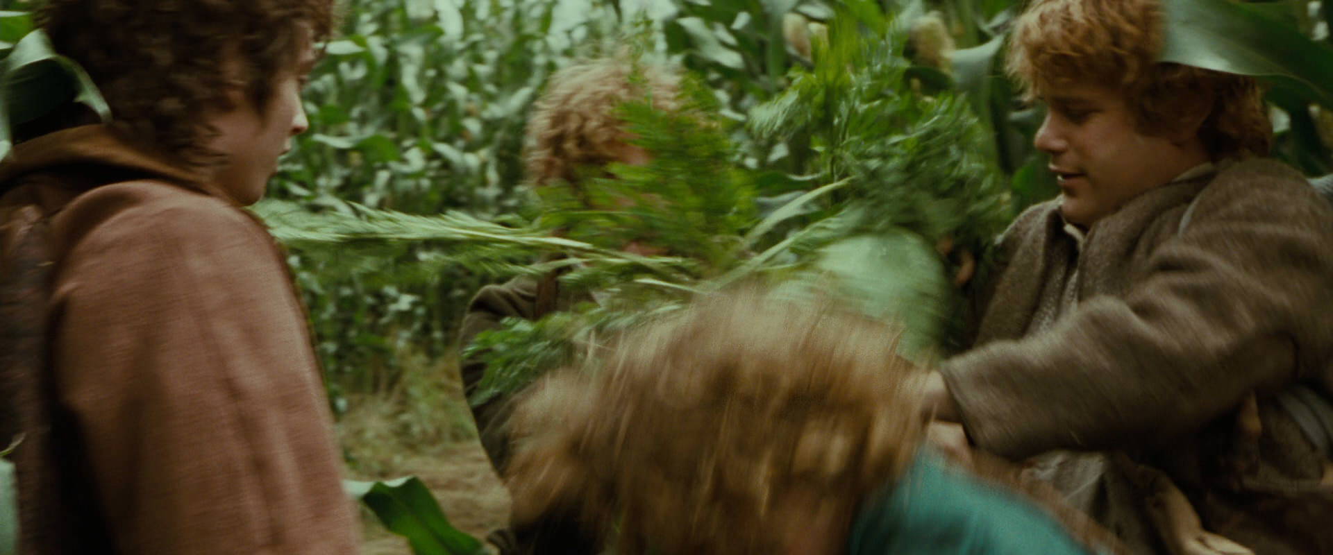 The Lord of the Rings: The Fellowship of the Ring (2001) screencap 5997
