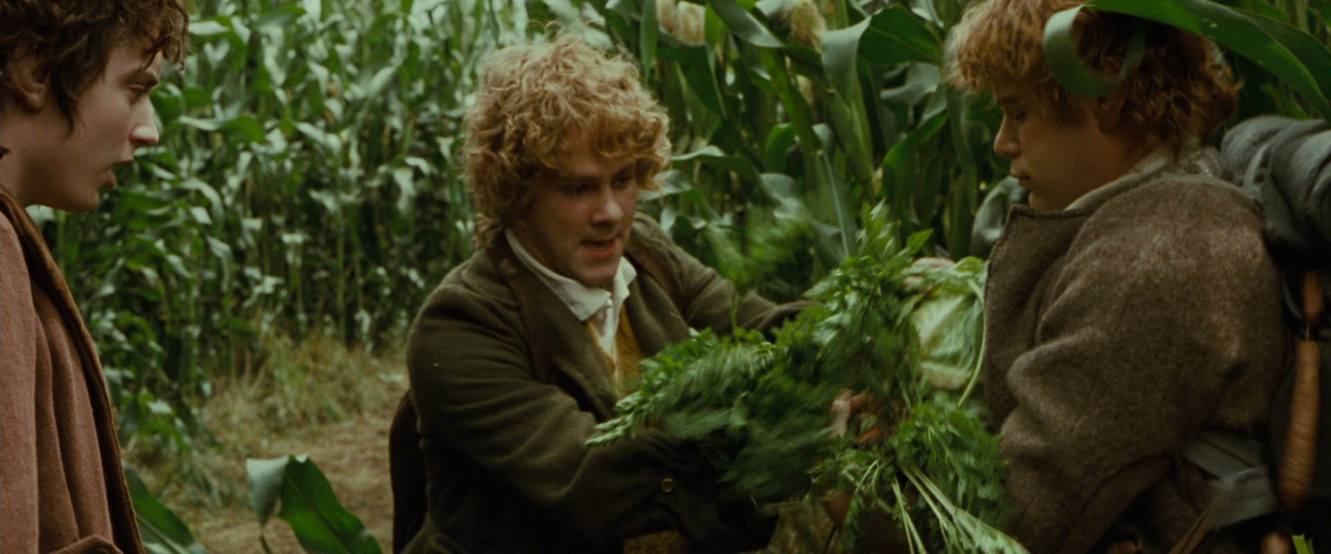 The Lord of the Rings: The Fellowship of the Ring (2001) movie still 5998