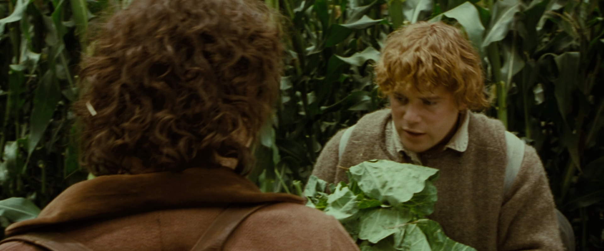 The Lord of the Rings: The Fellowship of the Ring (2001) HD screenshot 5999