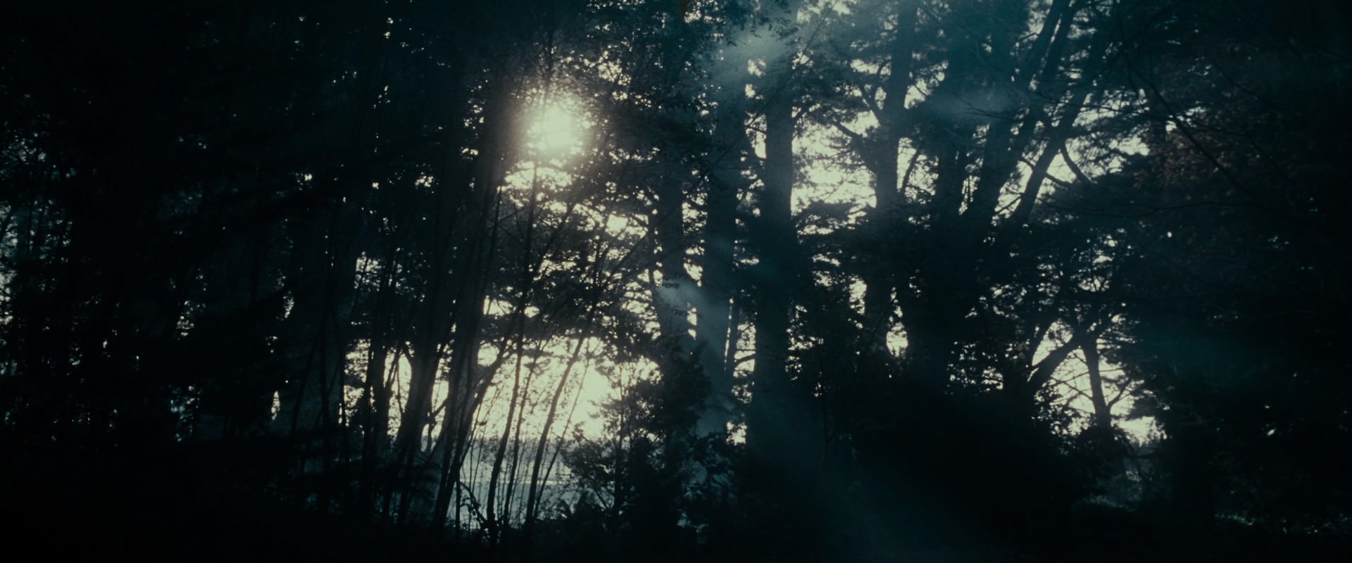 The Lord of the Rings: The Fellowship of the Ring (2001) screencap 600