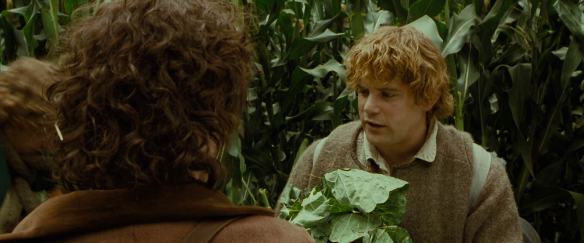 The Lord of the Rings: The Fellowship of the Ring (2001) screencap 6000