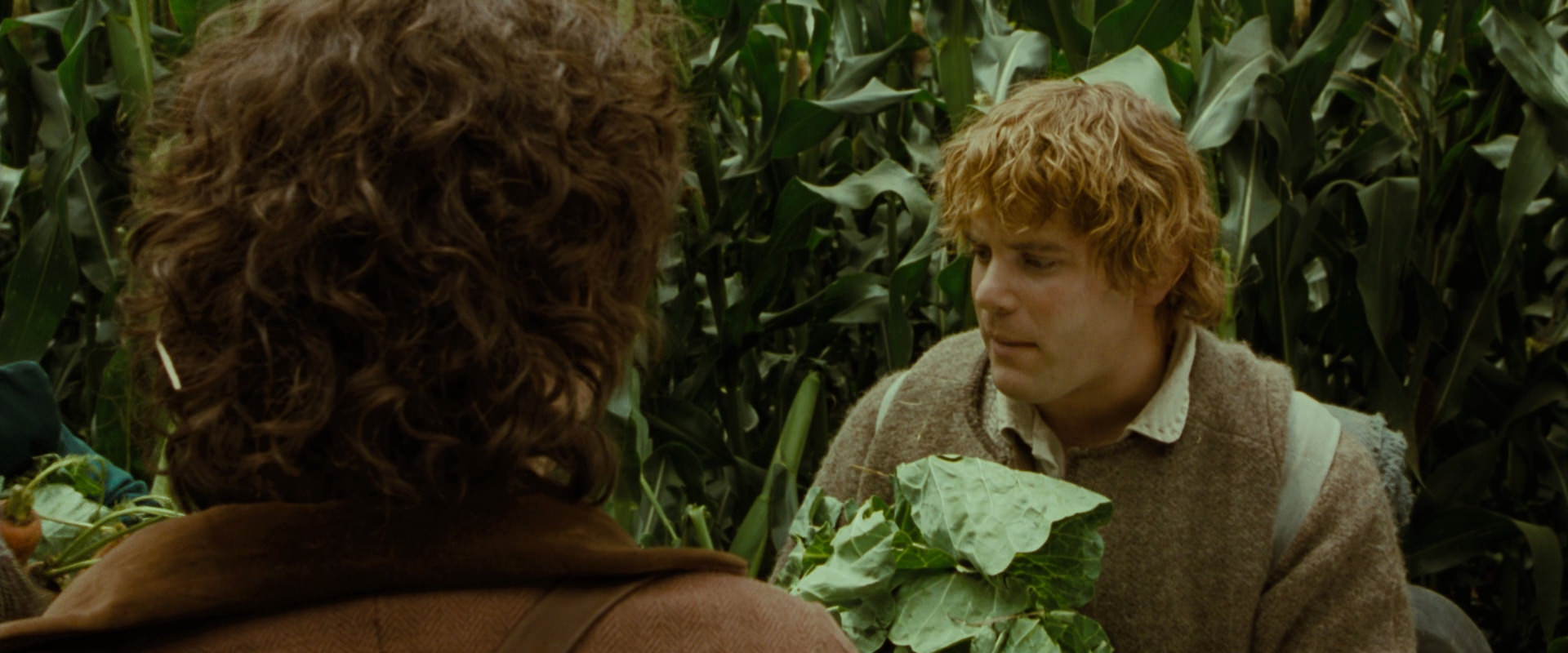 The Lord of the Rings: The Fellowship of the Ring (2001) movie still 6001