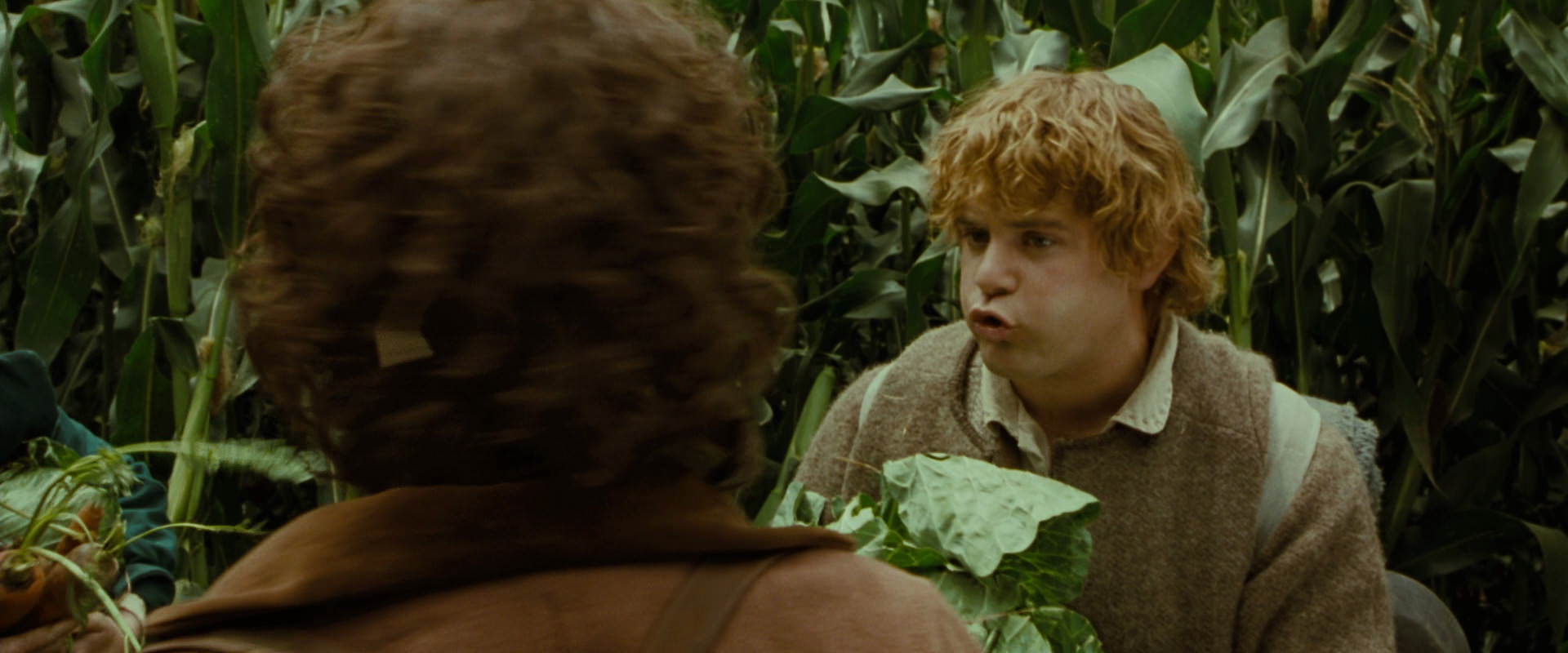 The Lord of the Rings: The Fellowship of the Ring (2001) HD screenshot 6002