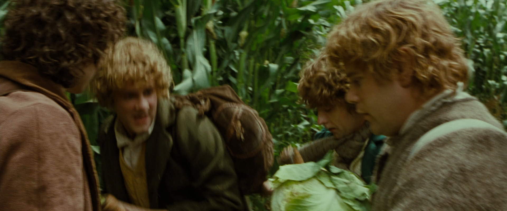 The Lord of the Rings: The Fellowship of the Ring (2001) screencap 6003