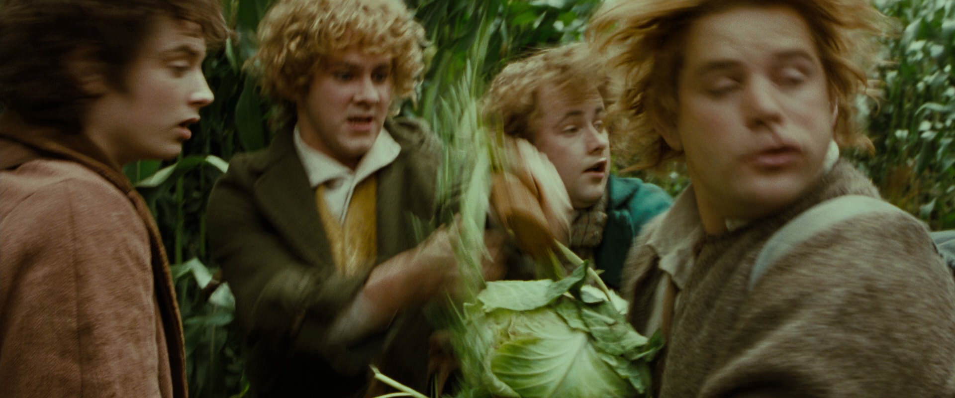 The Lord of the Rings: The Fellowship of the Ring (2001) movie still 6004