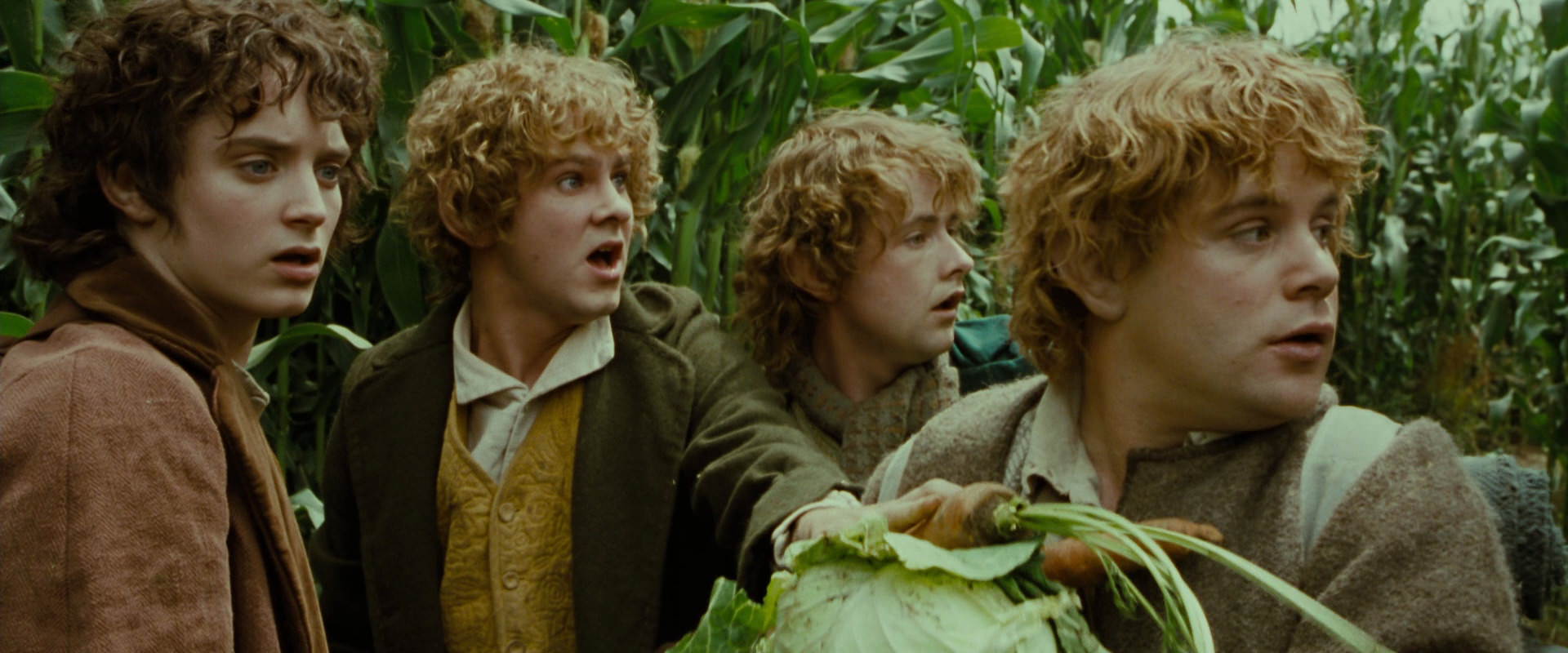 The Lord of the Rings: The Fellowship of the Ring (2001) HD screenshot 6005