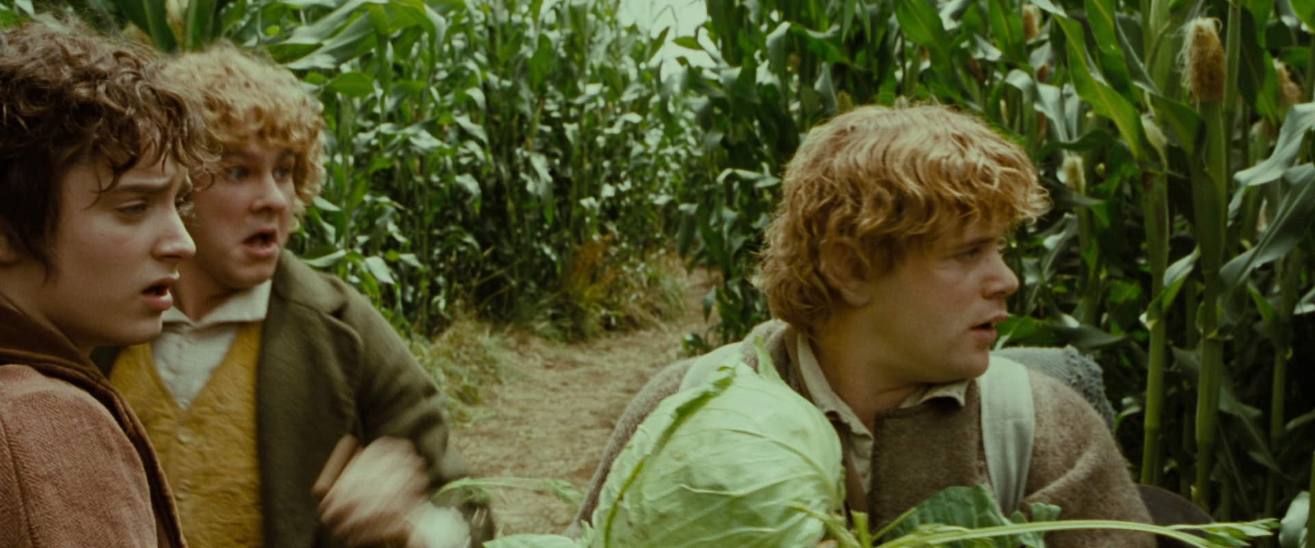 The Lord of the Rings: The Fellowship of the Ring (2001) screencap 6009