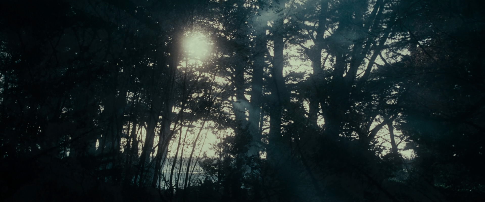 The Lord of the Rings: The Fellowship of the Ring (2001) movie still 601