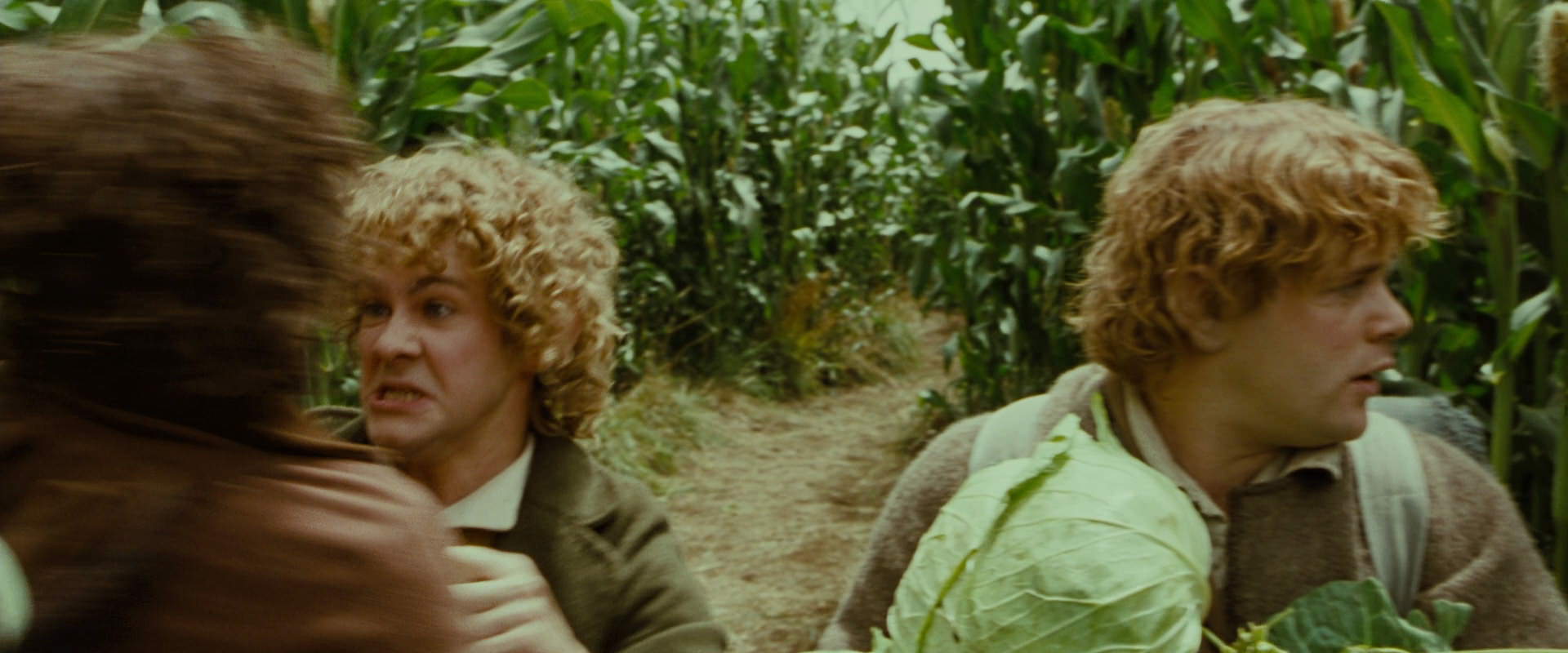 The Lord of the Rings: The Fellowship of the Ring (2001) movie still 6010