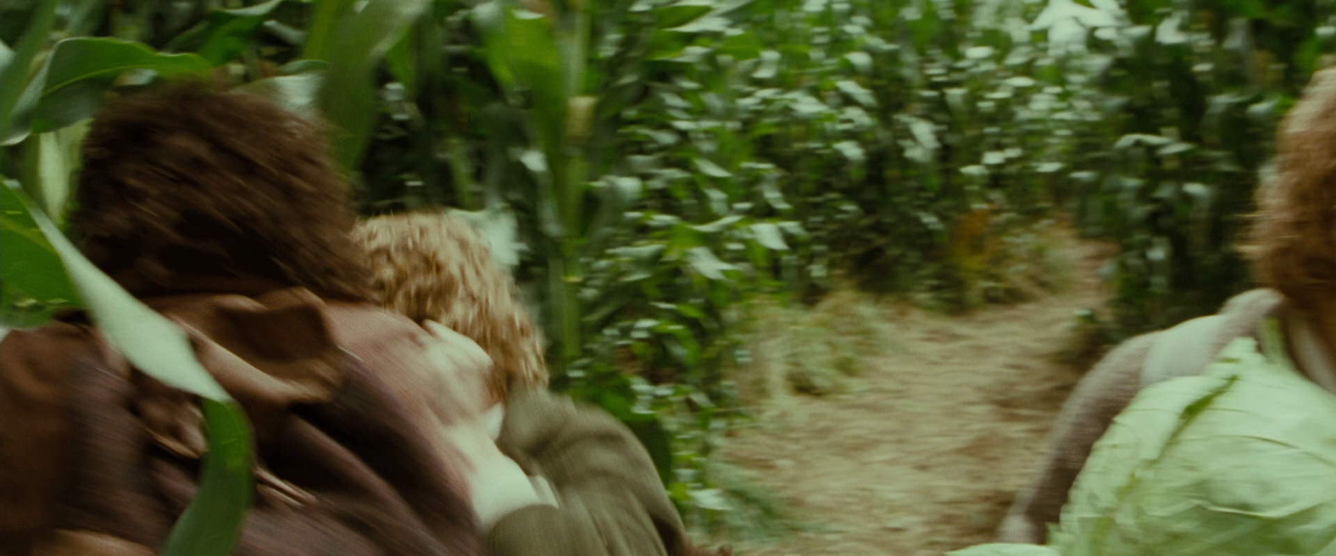 The Lord of the Rings: The Fellowship of the Ring (2001) HD screenshot 6011