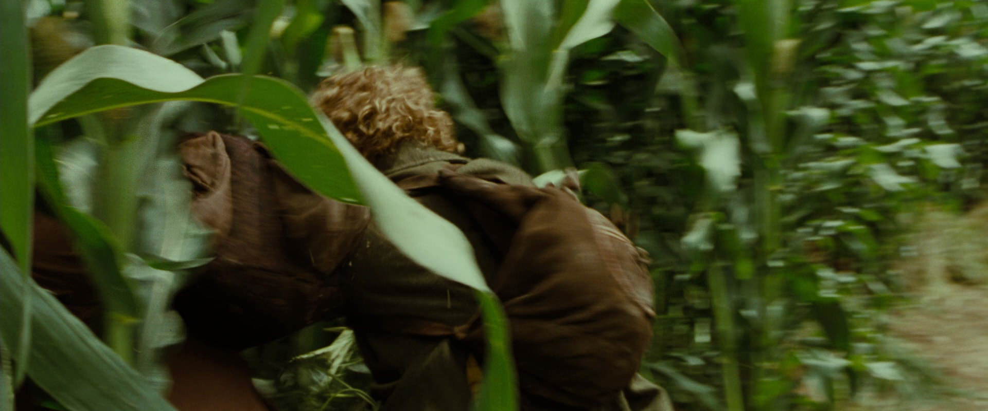The Lord of the Rings: The Fellowship of the Ring (2001) screencap 6012