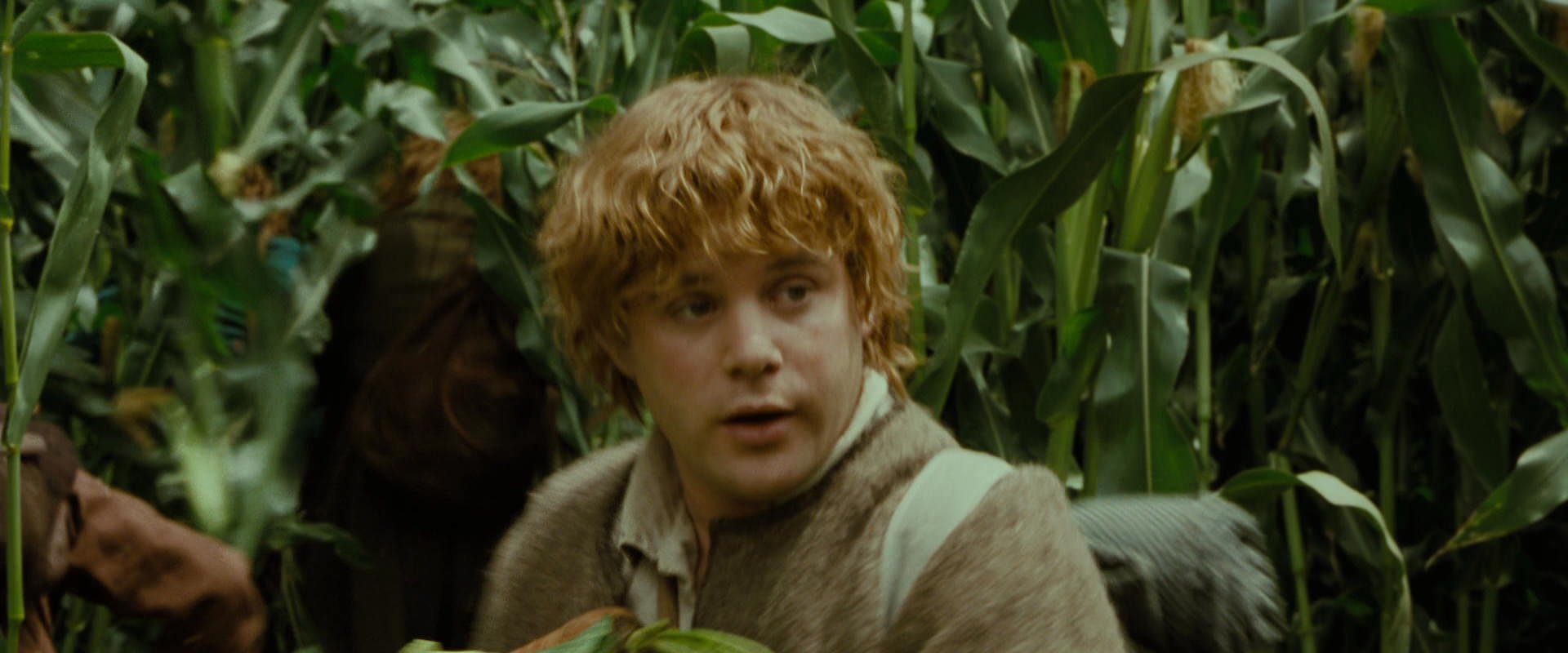 The Lord of the Rings: The Fellowship of the Ring (2001) movie still 6013