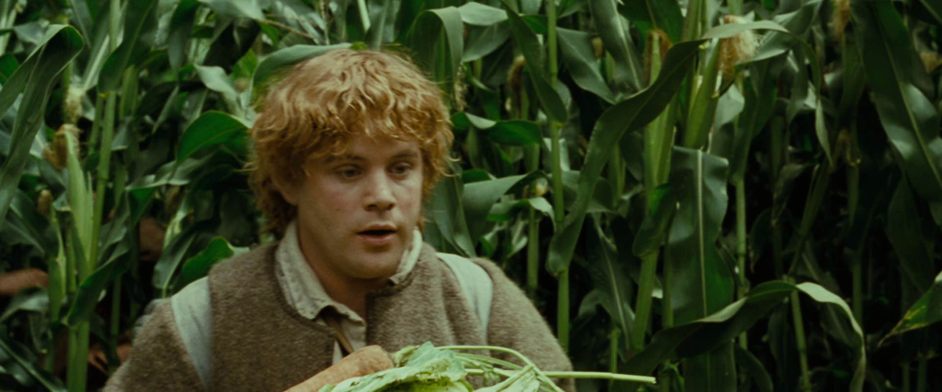 The Lord of the Rings: The Fellowship of the Ring (2001) movie still 6016