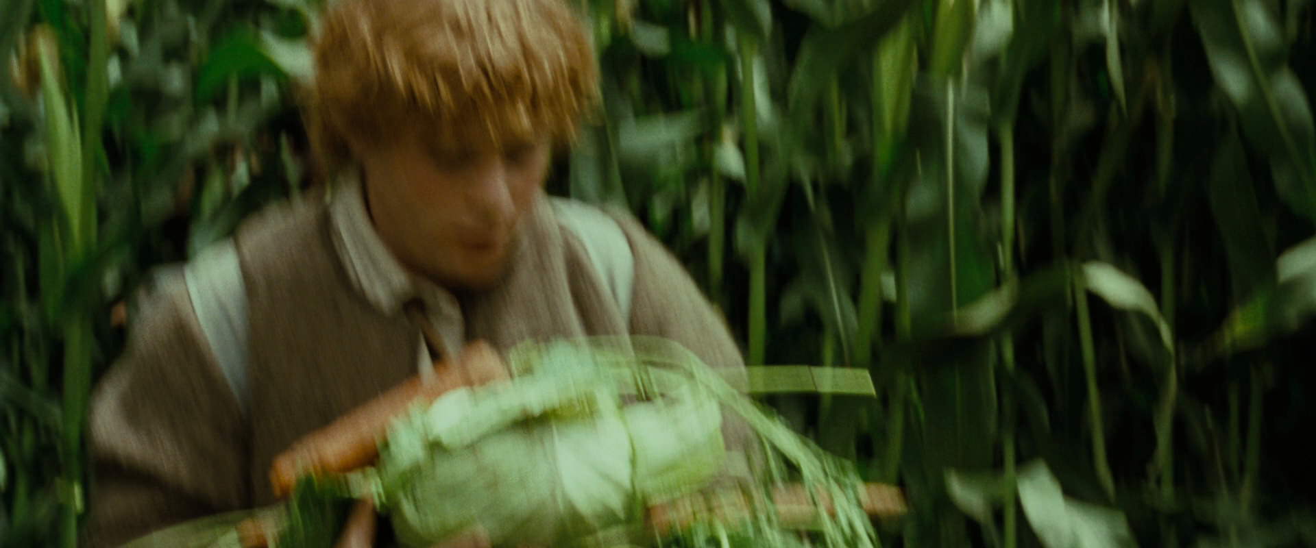 The Lord of the Rings: The Fellowship of the Ring (2001) HD screenshot 6017