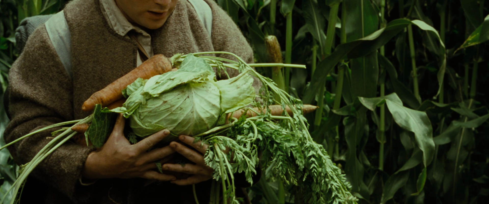 The Lord of the Rings: The Fellowship of the Ring (2001) screencap 6018