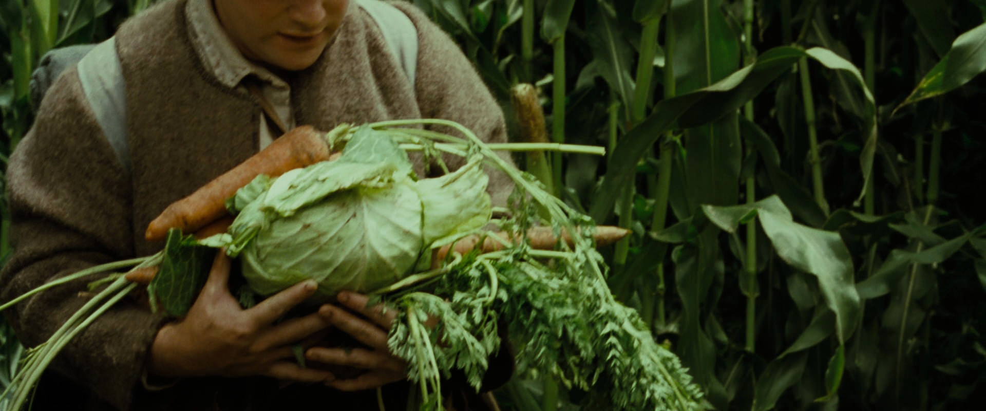 The Lord of the Rings: The Fellowship of the Ring (2001) movie still 6019
