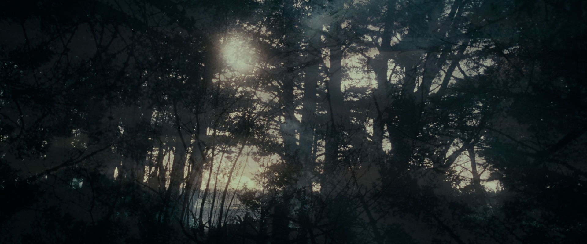 The Lord of the Rings: The Fellowship of the Ring (2001) HD screenshot 602