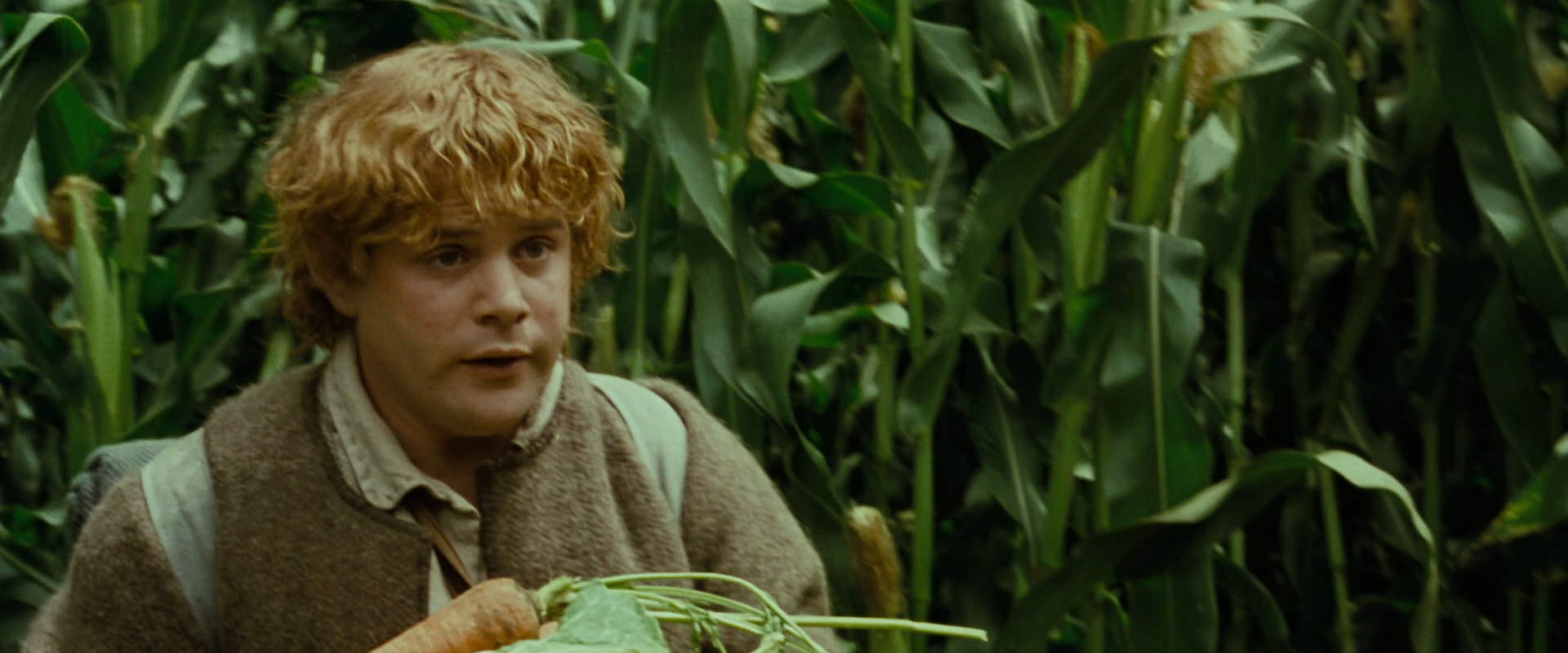 The Lord of the Rings: The Fellowship of the Ring (2001) HD screenshot 6020