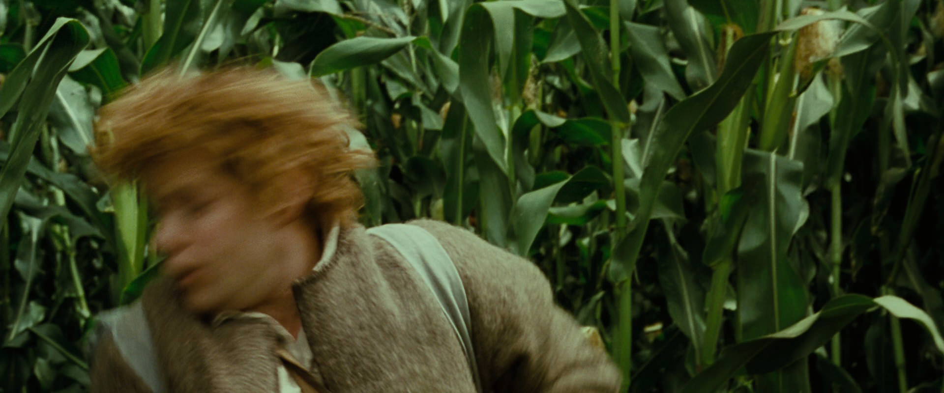 The Lord of the Rings: The Fellowship of the Ring (2001) screencap 6021