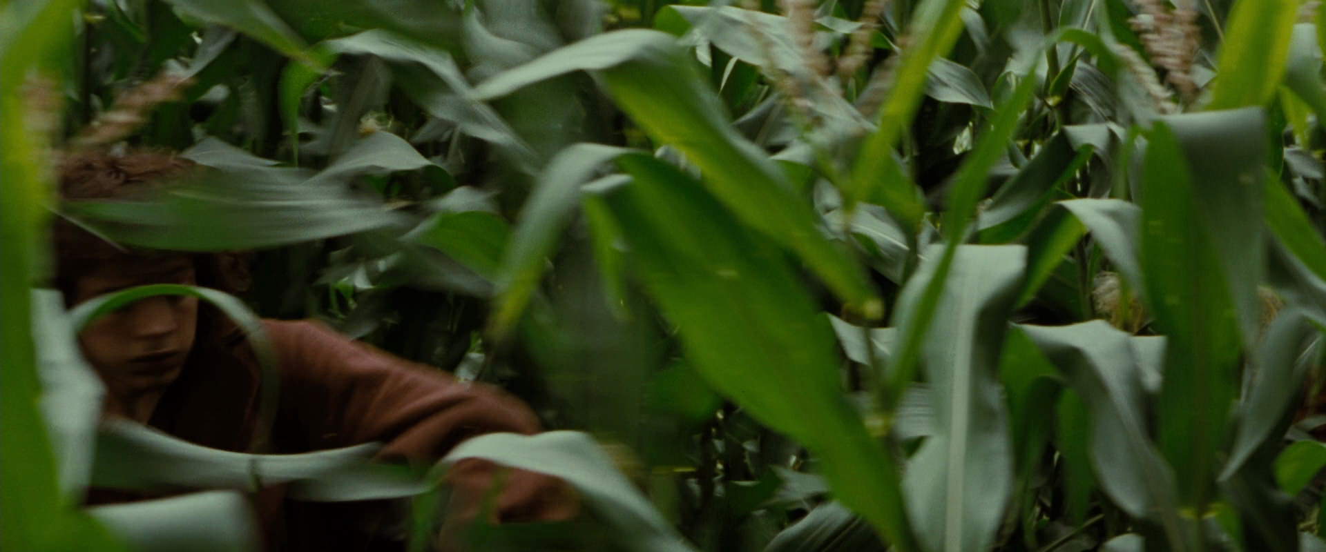 The Lord of the Rings: The Fellowship of the Ring (2001) screencap 6024