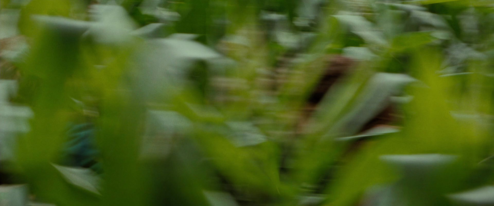 The Lord of the Rings: The Fellowship of the Ring (2001) HD screenshot 6029
