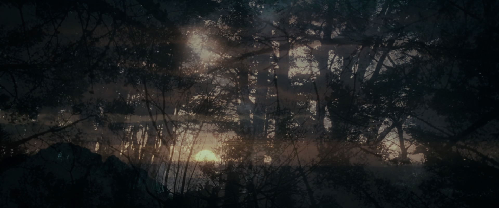 The Lord of the Rings: The Fellowship of the Ring (2001) screencap 603