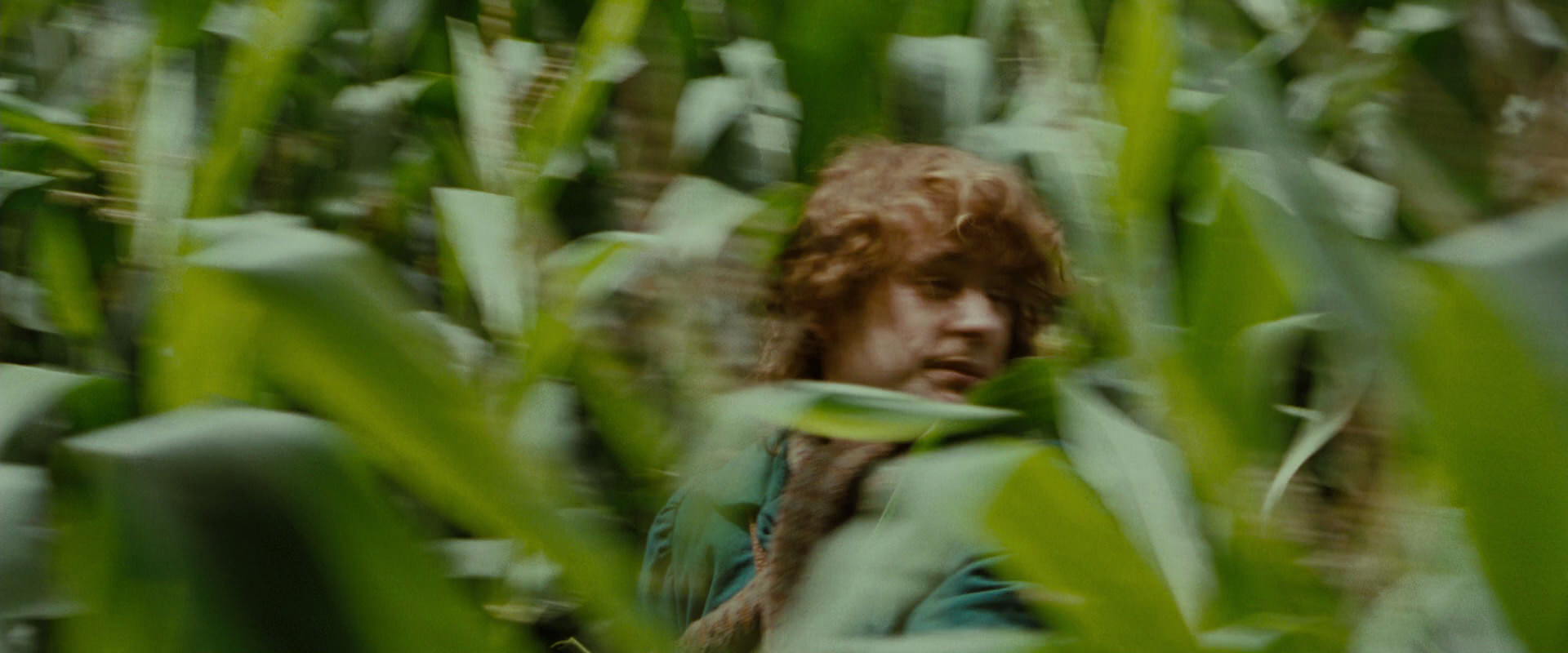 The Lord of the Rings: The Fellowship of the Ring (2001) screencap 6030