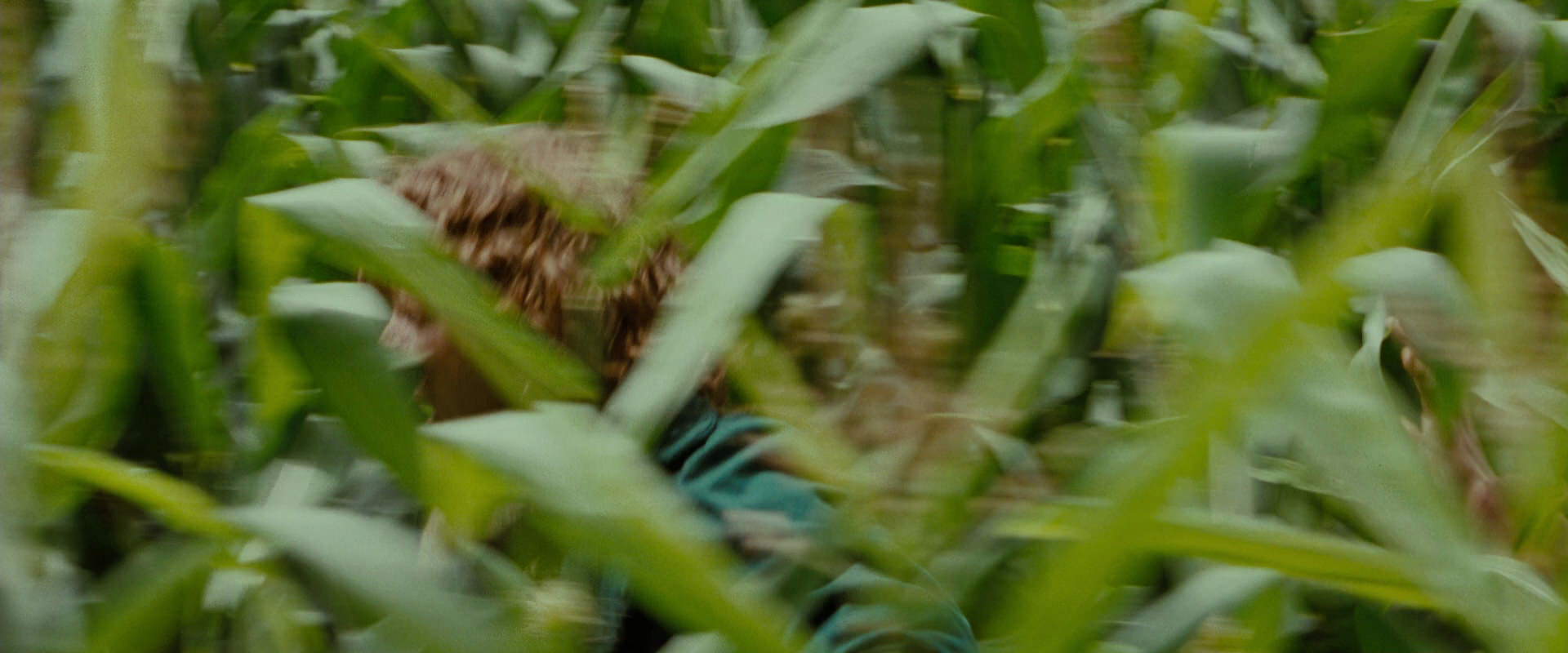 The Lord of the Rings: The Fellowship of the Ring (2001) HD screenshot 6032