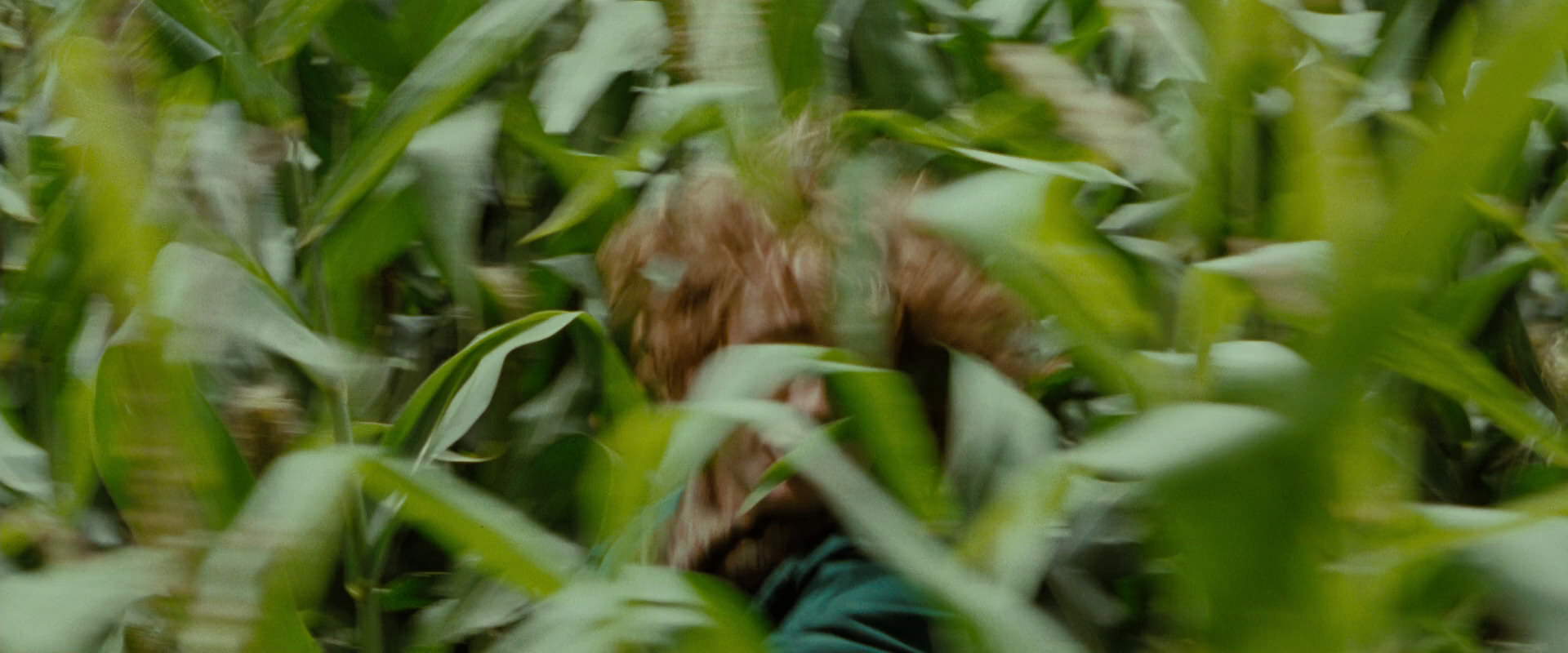 The Lord of the Rings: The Fellowship of the Ring (2001) screencap 6033