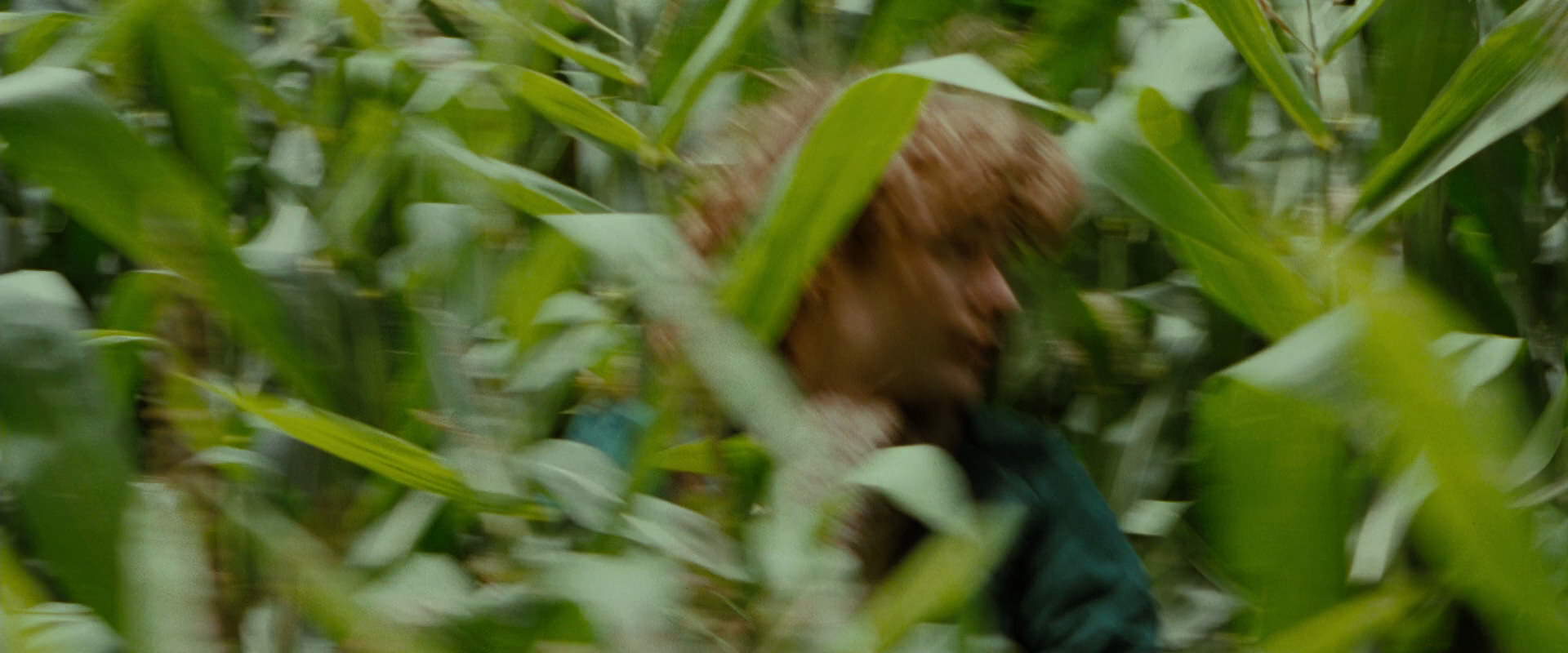 The Lord of the Rings: The Fellowship of the Ring (2001) movie still 6034