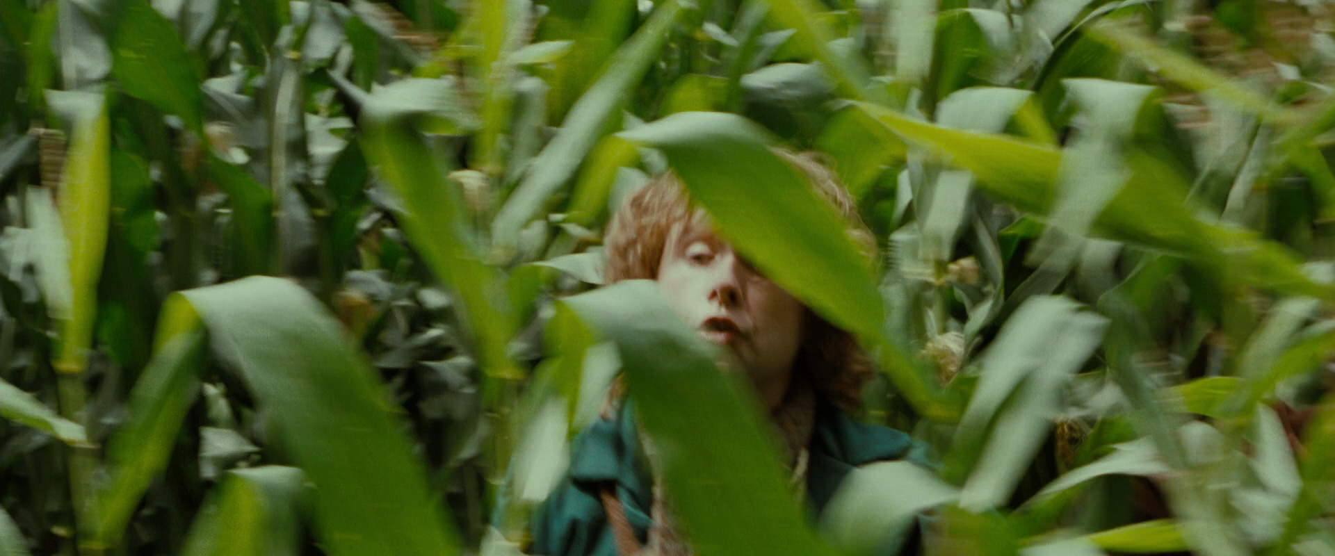 The Lord of the Rings: The Fellowship of the Ring (2001) HD screenshot 6035