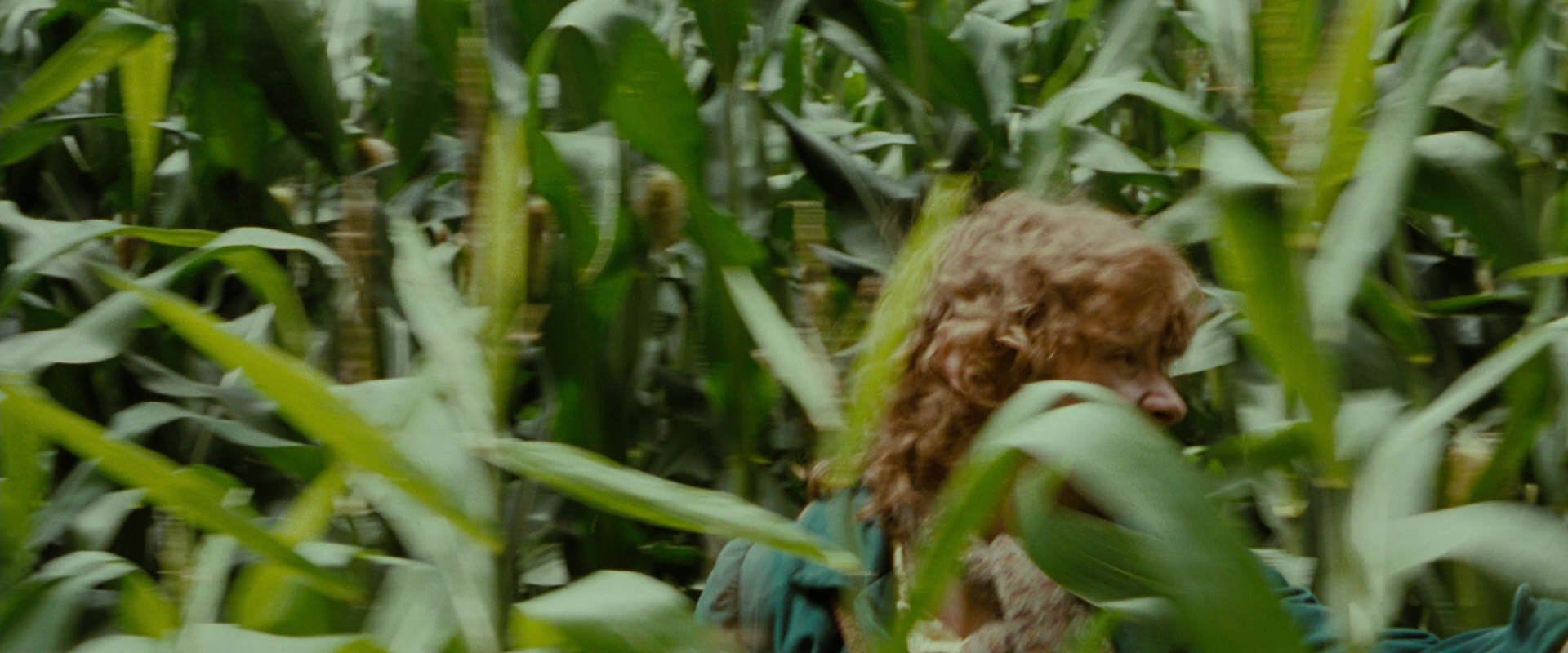 The Lord of the Rings: The Fellowship of the Ring (2001) screencap 6036