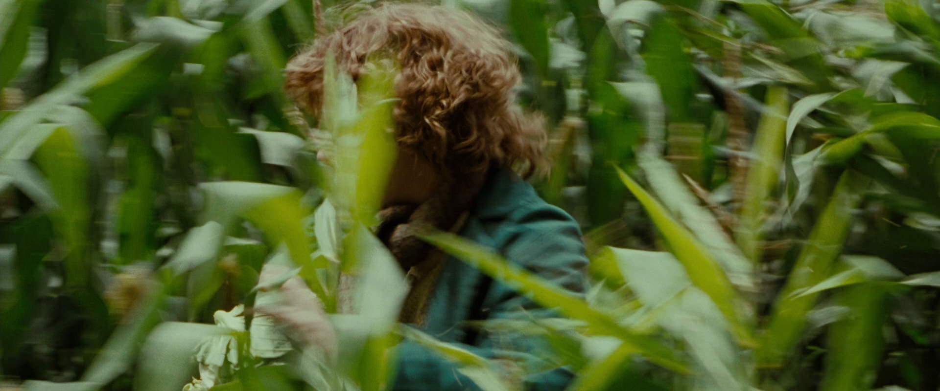 The Lord of the Rings: The Fellowship of the Ring (2001) movie still 6037