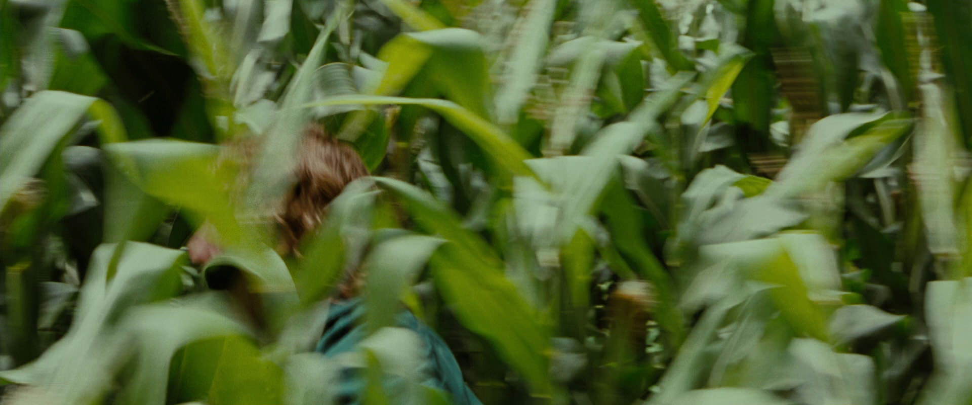 The Lord of the Rings: The Fellowship of the Ring (2001) HD screenshot 6038