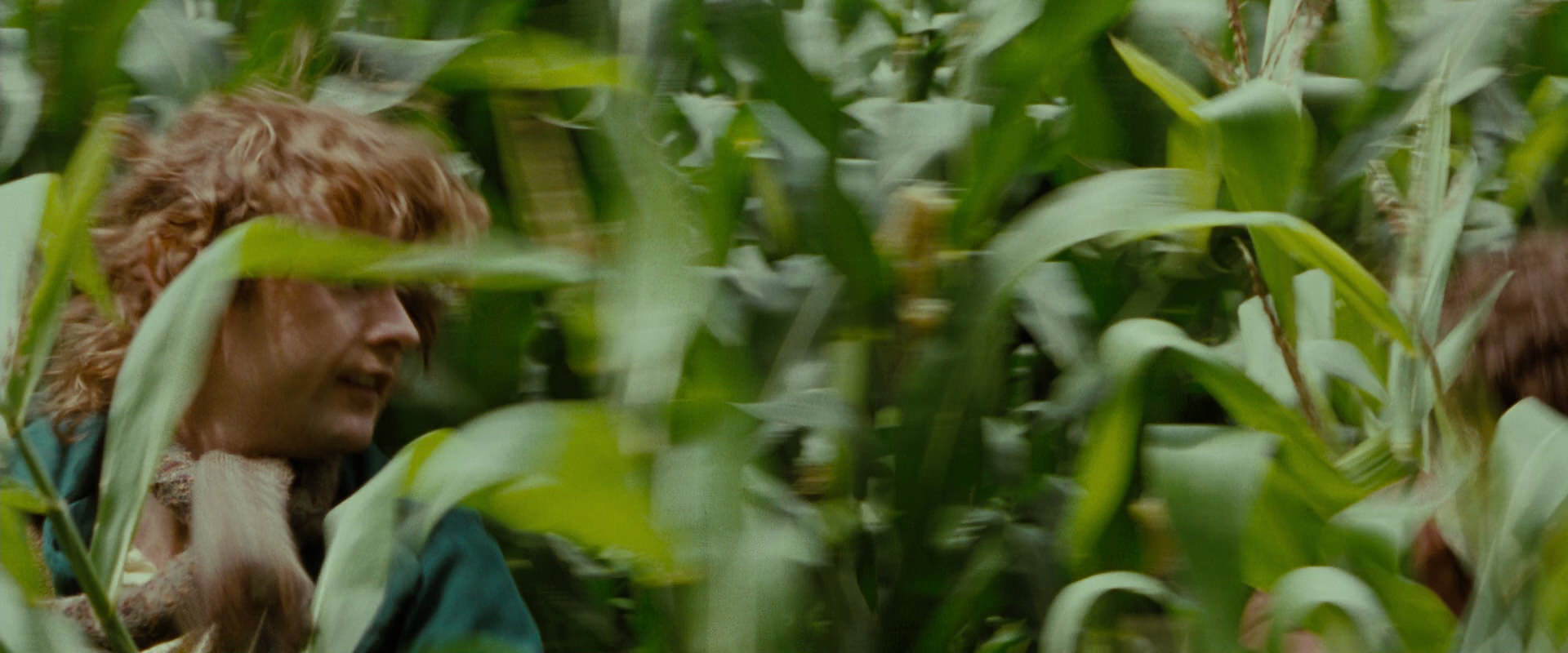 The Lord of the Rings: The Fellowship of the Ring (2001) screencap 6039