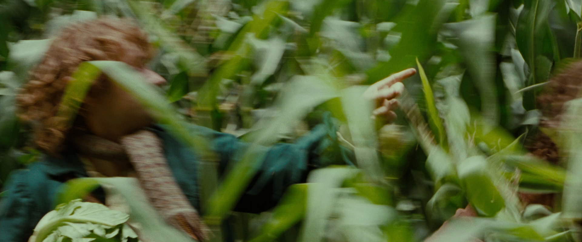 The Lord of the Rings: The Fellowship of the Ring (2001) movie still 6040