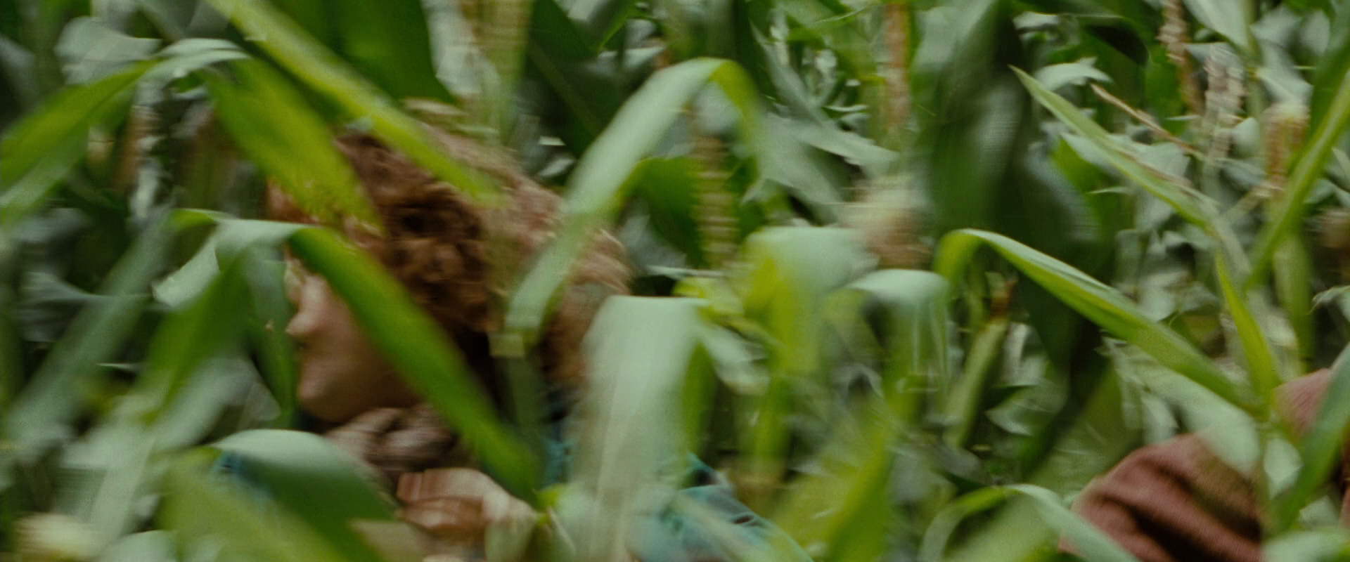The Lord of the Rings: The Fellowship of the Ring (2001) HD screenshot 6041