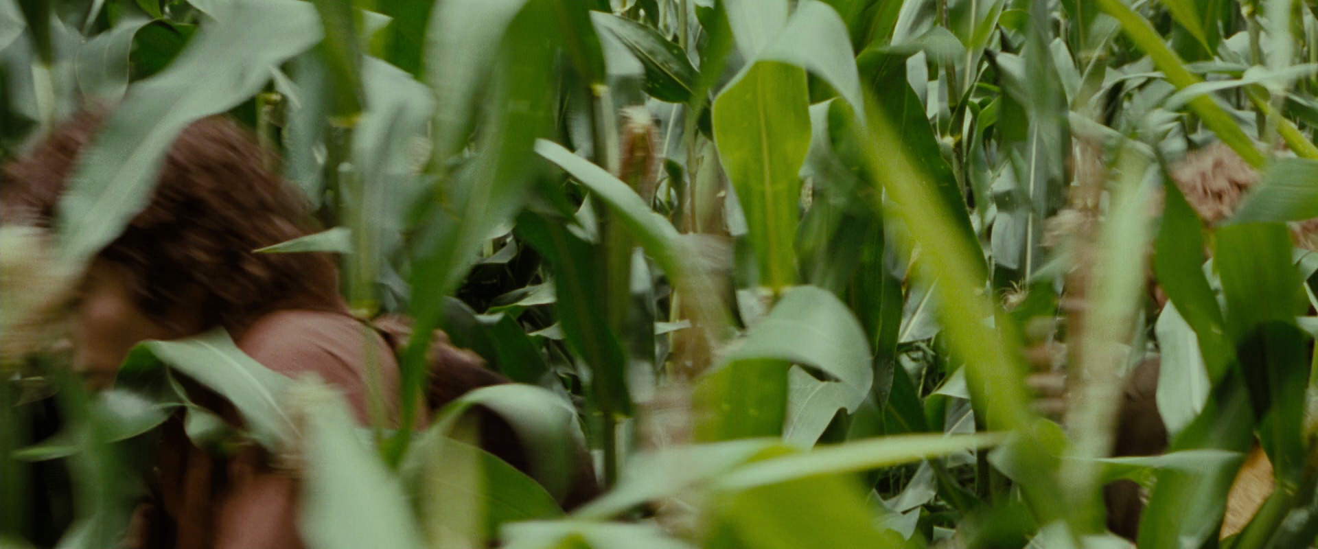 The Lord of the Rings: The Fellowship of the Ring (2001) HD screenshot 6044