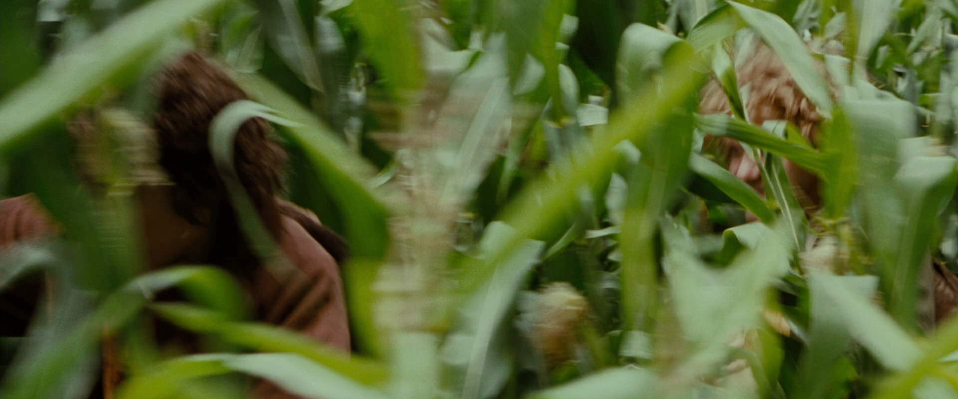 The Lord of the Rings: The Fellowship of the Ring (2001) screencap 6045