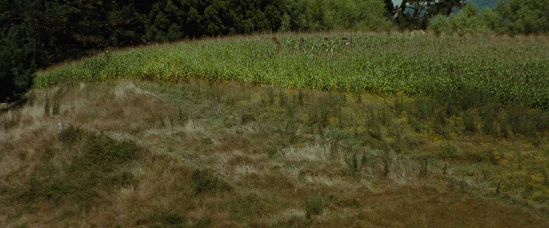 The Lord of the Rings: The Fellowship of the Ring (2001) HD screenshot 6047