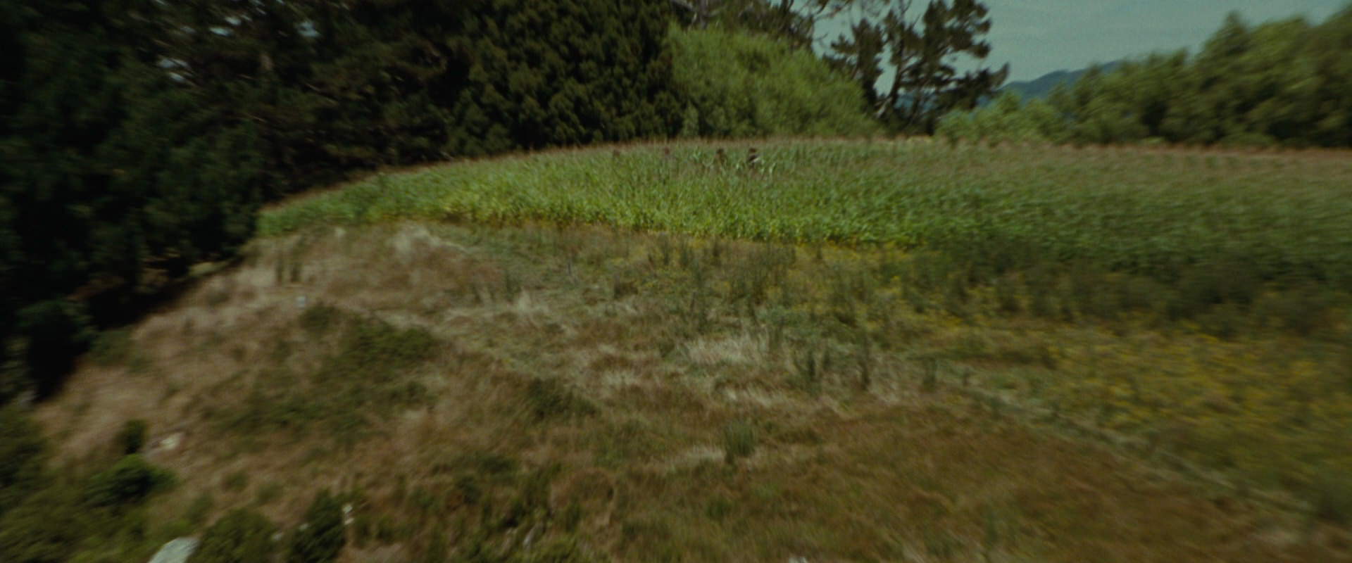 The Lord of the Rings: The Fellowship of the Ring (2001) screencap 6048