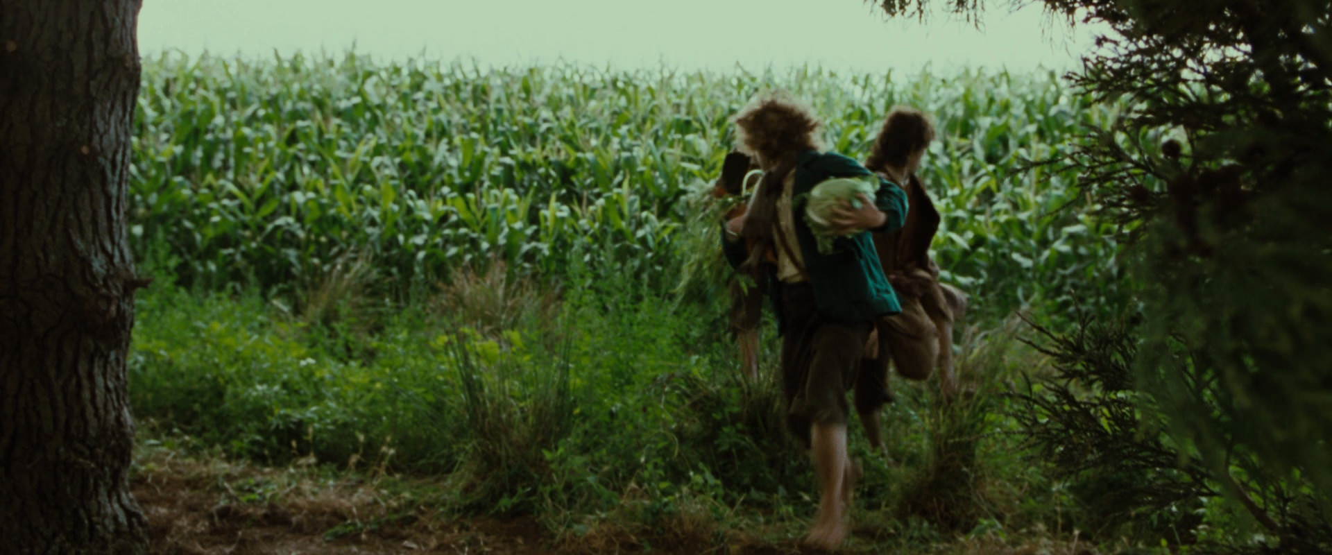 The Lord of the Rings: The Fellowship of the Ring (2001) movie still 6052