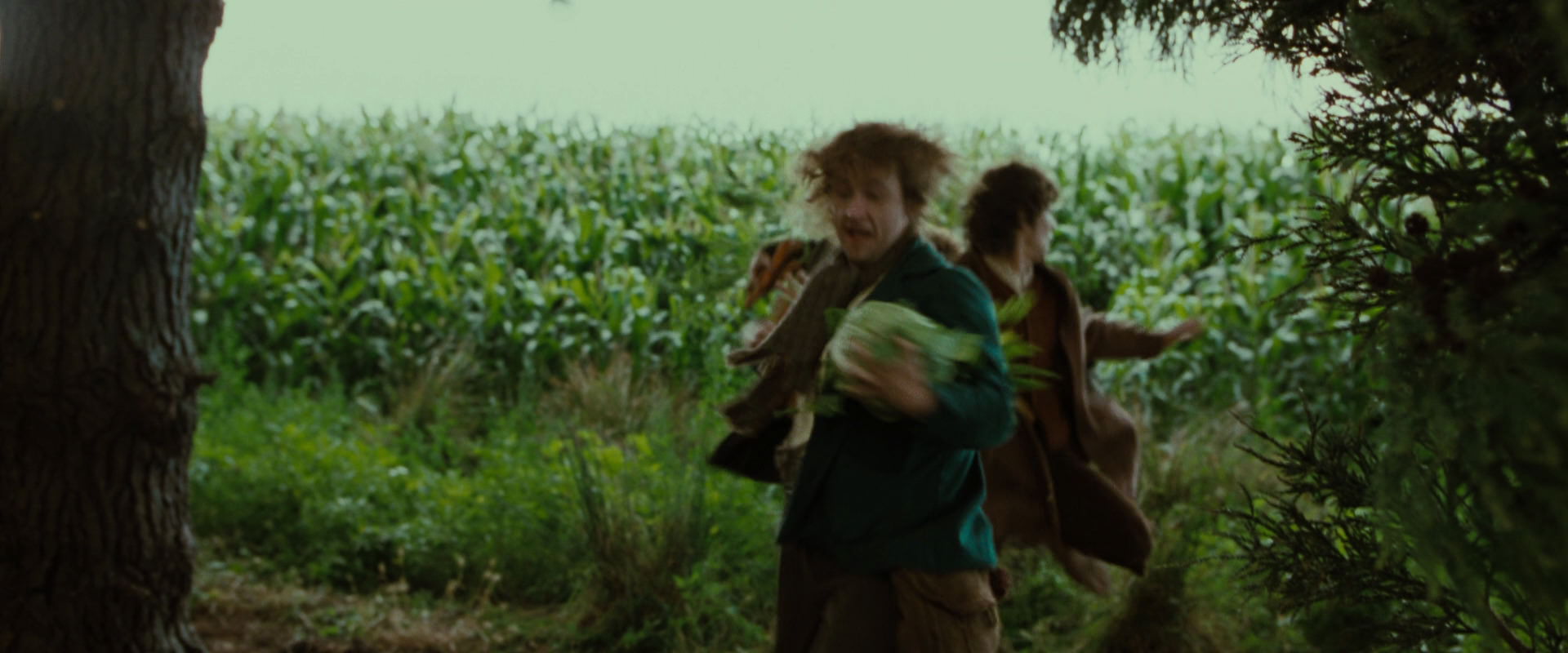 The Lord of the Rings: The Fellowship of the Ring (2001) HD screenshot 6053