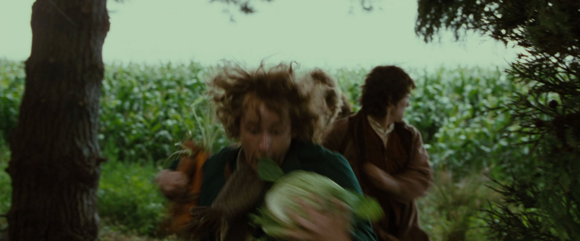 The Lord of the Rings: The Fellowship of the Ring (2001) screencap 6054