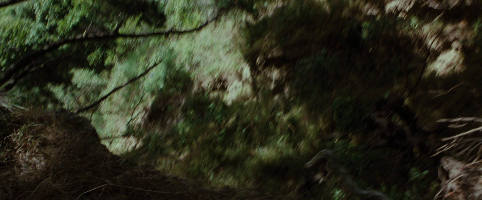 The Lord of the Rings: The Fellowship of the Ring (2001) movie still 6055